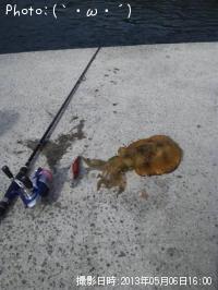 ¥¢¥ª¥ê¥¤¥«