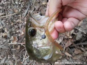 ¥Ö¥é¥Ã¥¯¥Ð¥¹