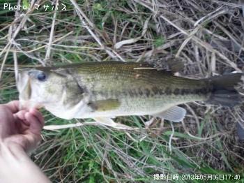 ¥Ö¥é¥Ã¥¯¥Ð¥¹