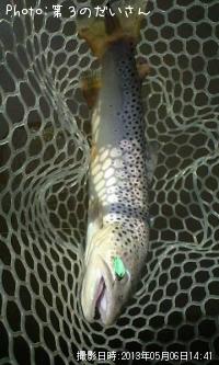 ���㥬���ȥ饦��