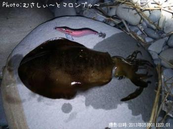 ¥¢¥ª¥ê¥¤¥«