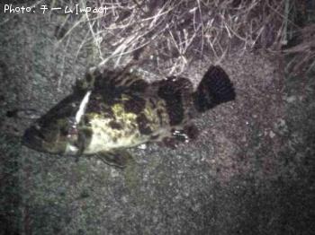 �����Υ���Х�