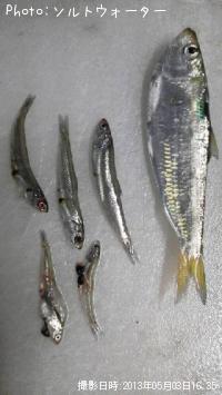 �����������亮