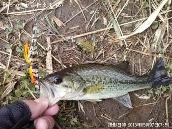 �顼���ޥ���