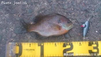 ¥Ö¥ë¡¼¥®¥ë