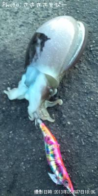 ����䥱����