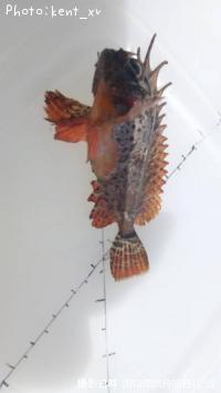 �ϥ�����