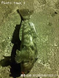 �����ʥ�