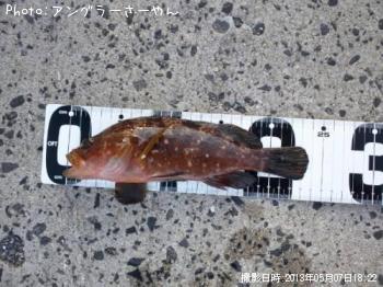 �����ϥ�