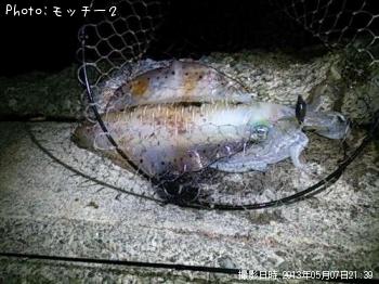 �����ꥤ��