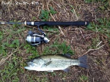 ¥Ö¥é¥Ã¥¯¥Ð¥¹