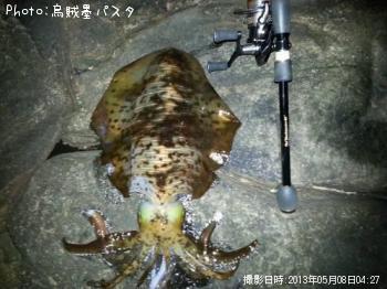 ¥¢¥ª¥ê¥¤¥«