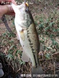 �֥�å��Х�