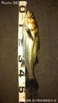 �����Х�