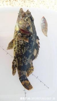 �����Υ���Х�