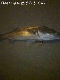 �����Х�