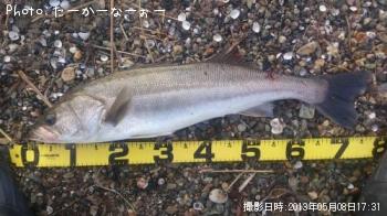 �����Х�