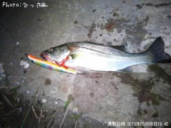 �����Х�