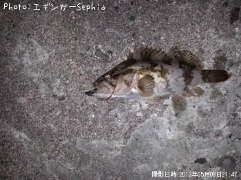 �����Υ���Х�