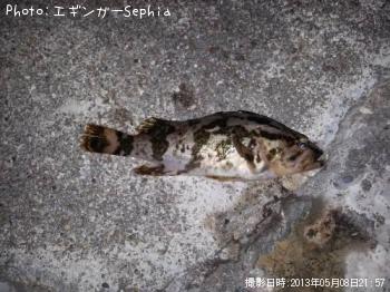 �����Υ���Х�