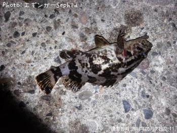 �����Υ���Х�