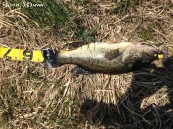 �֥�å��Х�