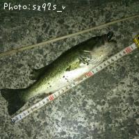 �֥�å��Х�