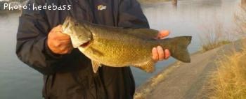 �֥�å��Х������⡼��ޥ���