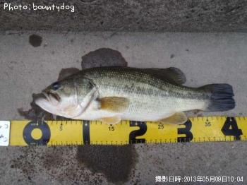 ¥Ö¥é¥Ã¥¯¥Ð¥¹