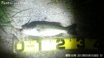 ¥Ö¥é¥Ã¥¯¥Ð¥¹