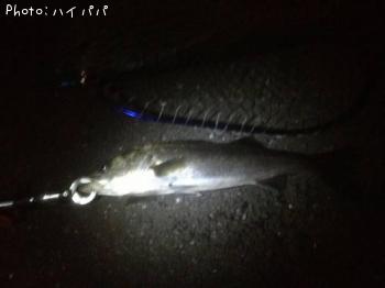 �����Х�