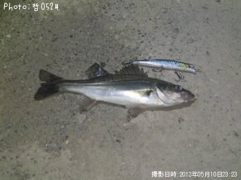 �����Х�