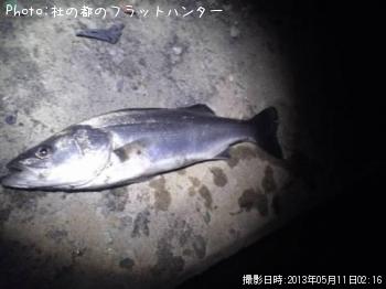 �����Х�