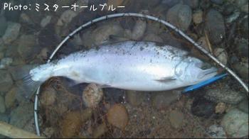 ������ޥ�