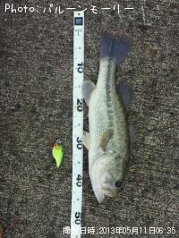 �֥�å��Х�