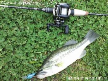 ¥Ö¥é¥Ã¥¯¥Ð¥¹