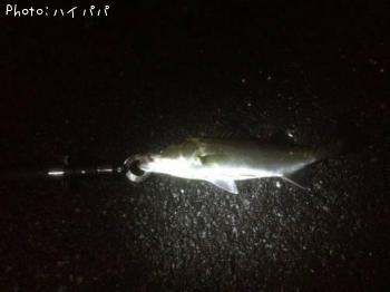 �����Х�