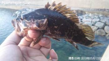 �����Υ���Х�