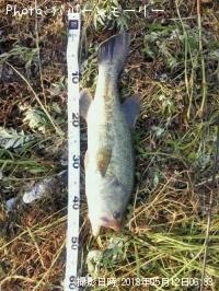 �֥�å��Х�