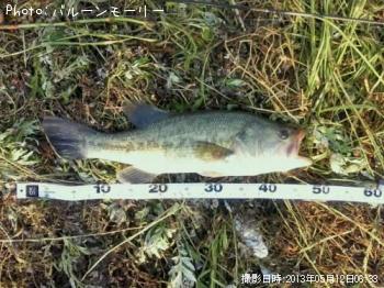 �֥�å��Х�