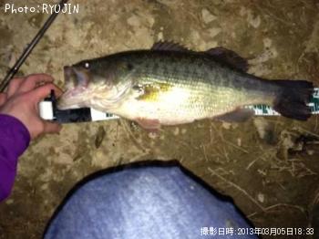 �֥�å��Х�