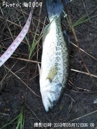 �֥�å��Х�