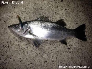 �ҥ饹����