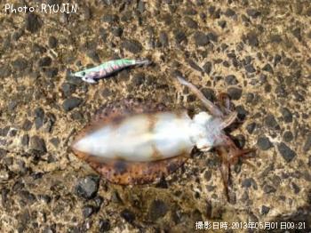 ¥¢¥ª¥ê¥¤¥«