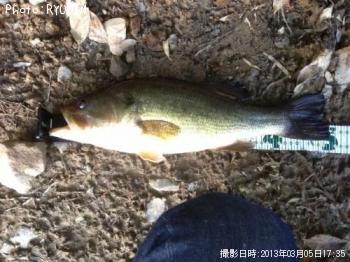 �֥�å��Х�