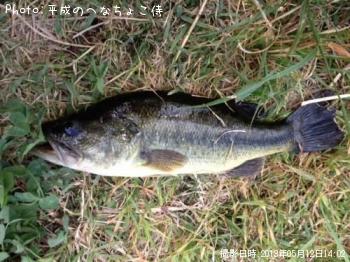 �֥�å��Х�