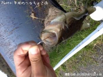 �֥�å��Х�