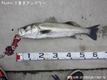 �����Х�