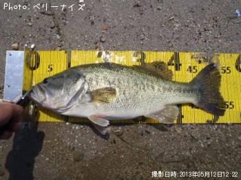 �֥�å��Х�