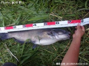 ����åȥե��å���